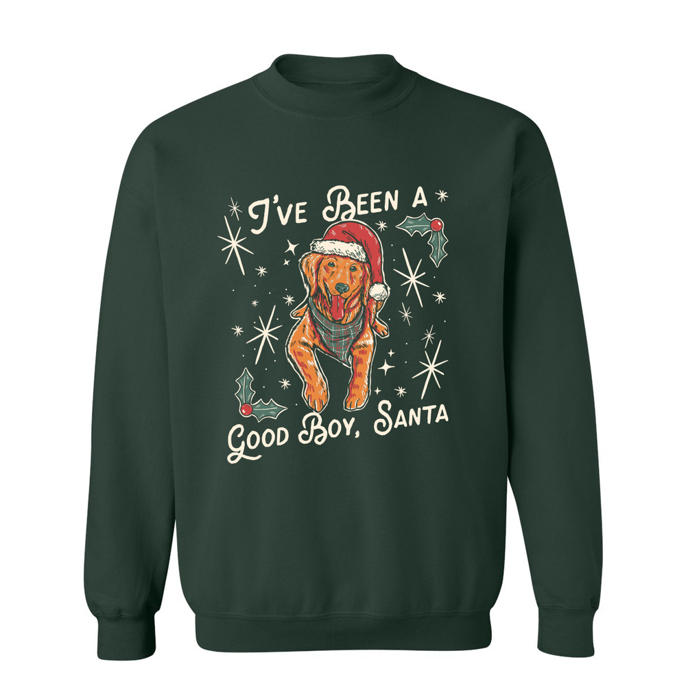 Good Boy Ugly Sweater