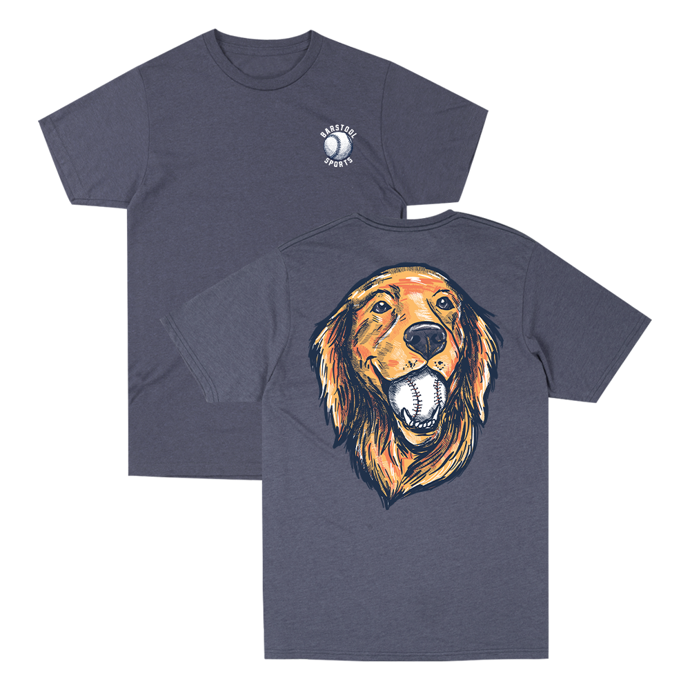 Baseball Dog Tee